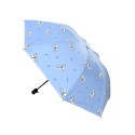 Parasol z motylami